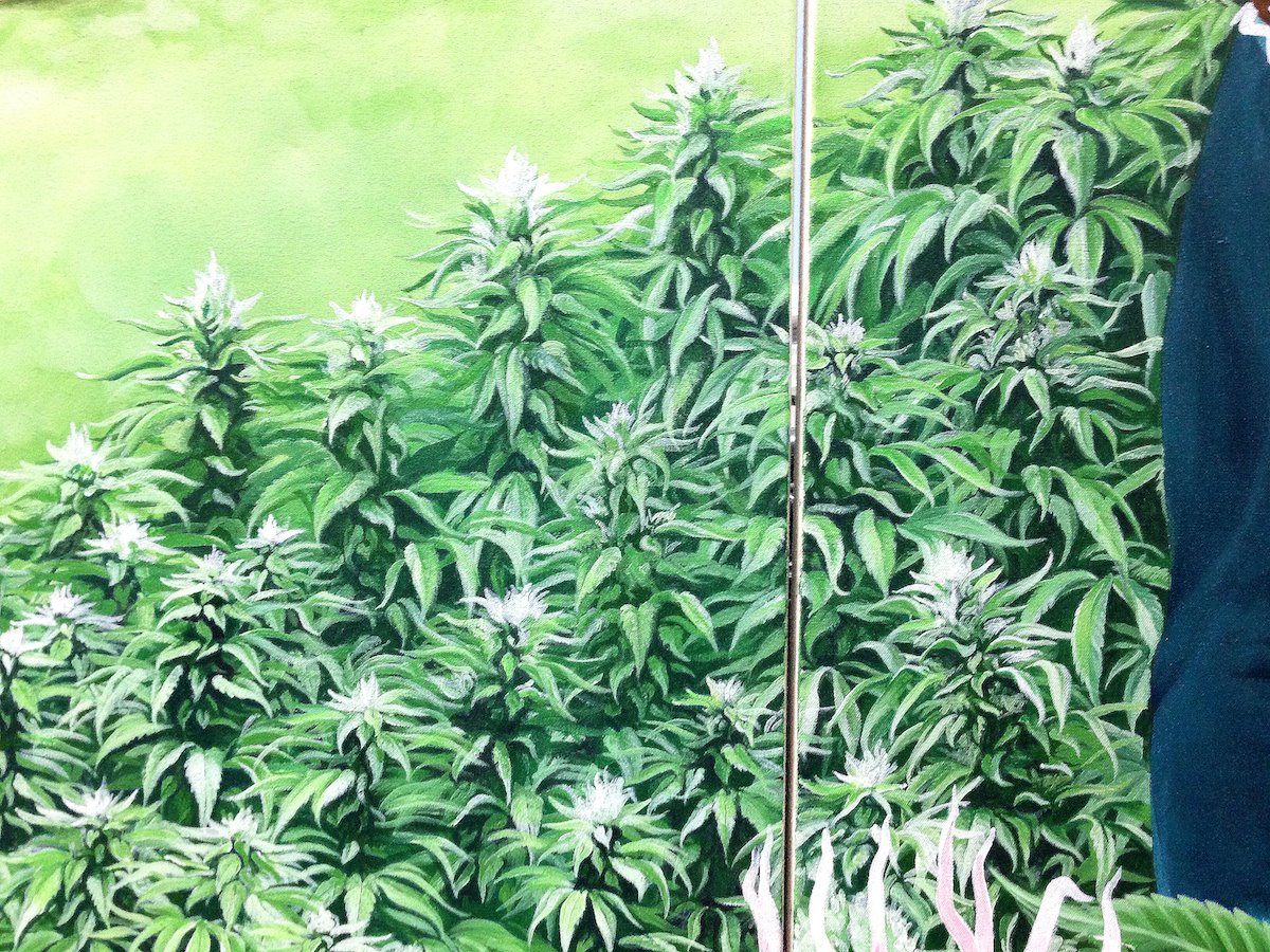 Detail of painted cannabis plants across the mural's lower field.